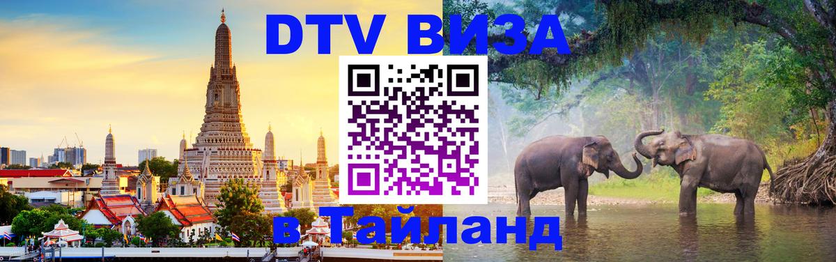 Оформление DTV визы под ключ: стоимость и тарифы, только загранпаспорт - 21.11.2025 